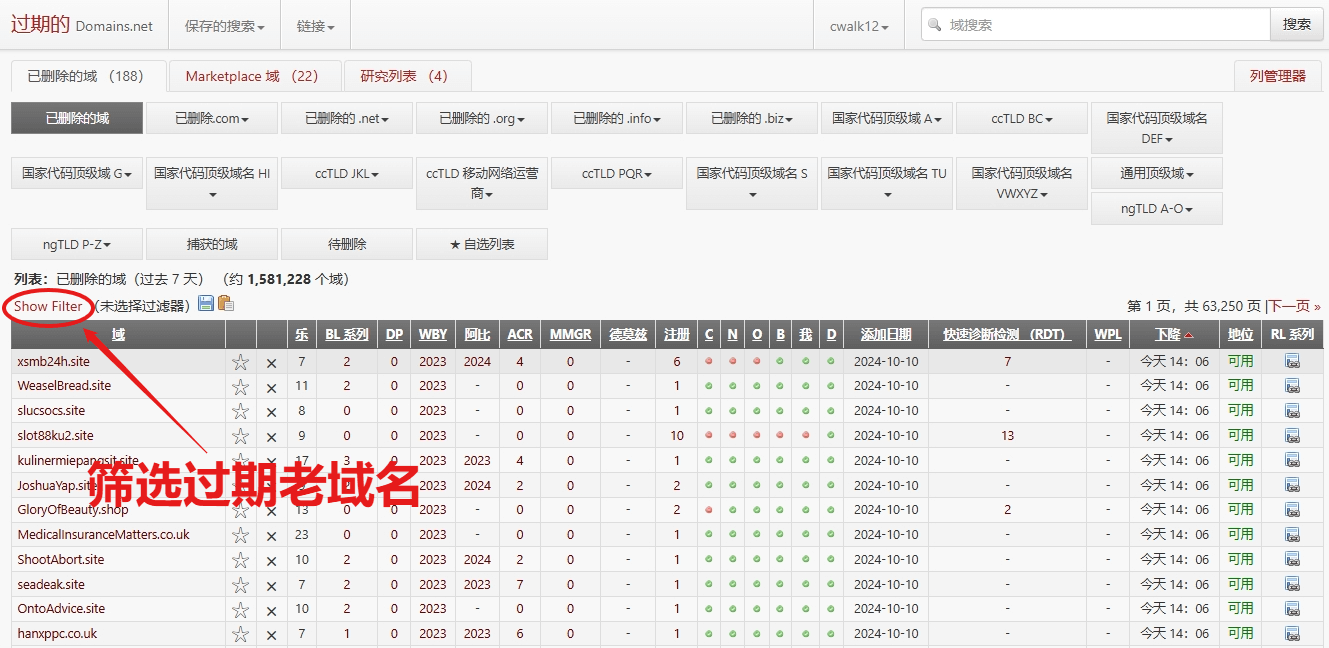 如何挖掘并注册高价值过期老域名