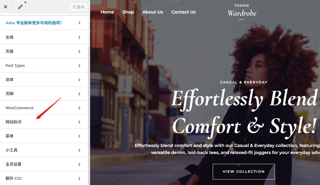 WordPress独立站:零基础搭建B2C外贸电商网站