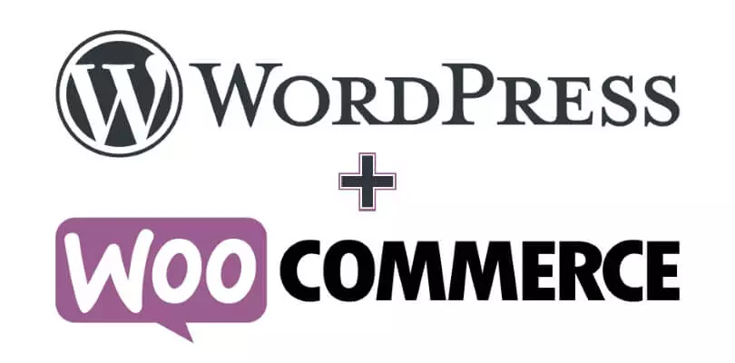 WooCommerce Features – The Ultimate Guide in 2024 - WEBAPPICK